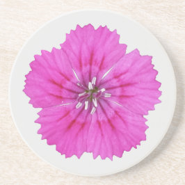 Posavasos La montaña rusa de arena rosa Dianthus