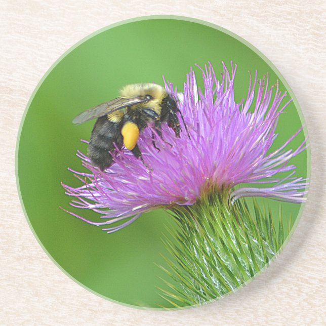 Posavasos La montaña rusa de arenisca de abeja y siluro (Frente)