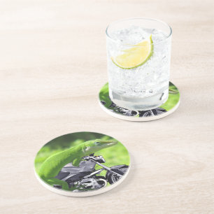 Posavasos La montaña rusa de gecko verde hawaiana