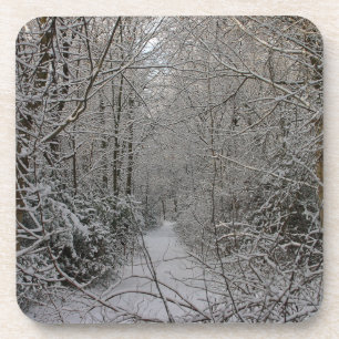 Posavasos La montaña rusa de la escena del invierno