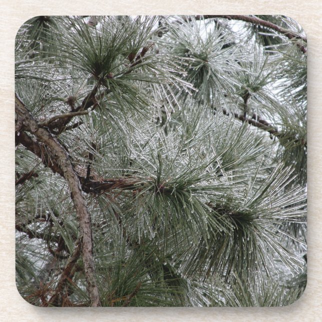 Posavasos La montaña rusa de la temporada de invierno (Frente)