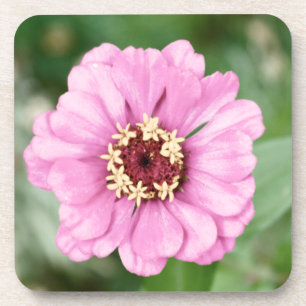 Posavasos La montaña rusa de los corchos de belleza de Johan