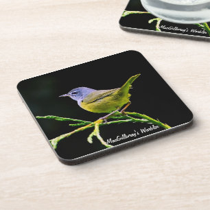 Posavasos La montaña rusa de MacGillivray
