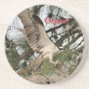 Posavasos La montaña rusa Osprey Wildlife