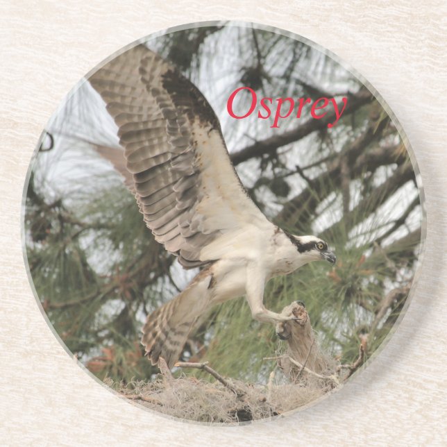 Posavasos La montaña rusa Osprey Wildlife (Frente)