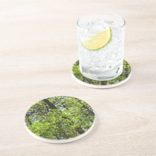 Posavasos La naturaleza de las hojas de arce de primavera