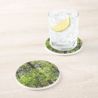 Posavasos La naturaleza de las hojas de arce de primavera