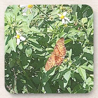 Posavasos La naturaleza en su mejor momento