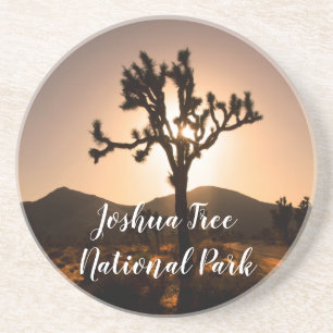 Posavasos La noche empieza en el árbol Joshua 