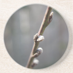 Posavasos La primavera está llegando