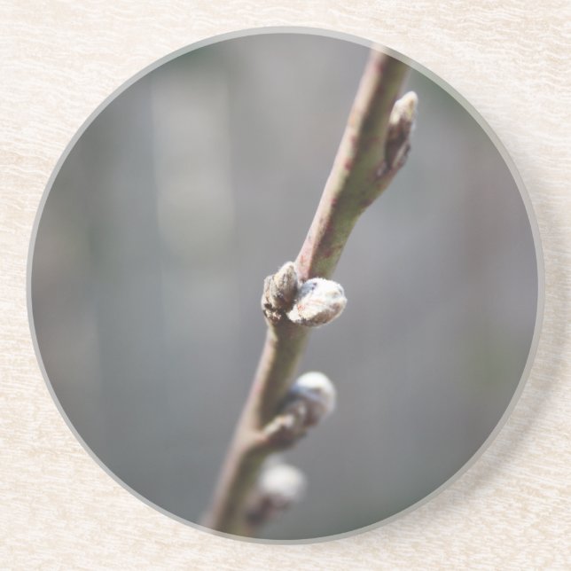 Posavasos La primavera está llegando (Frente)