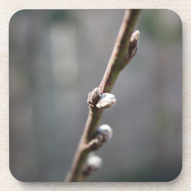 Posavasos La primavera está llegando (Frente)