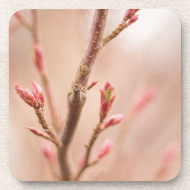 Posavasos La primavera soña los prácticos de costa del (Frente)