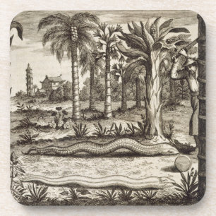 Posavasos La serpiente de piedra, de "China ilustró" por