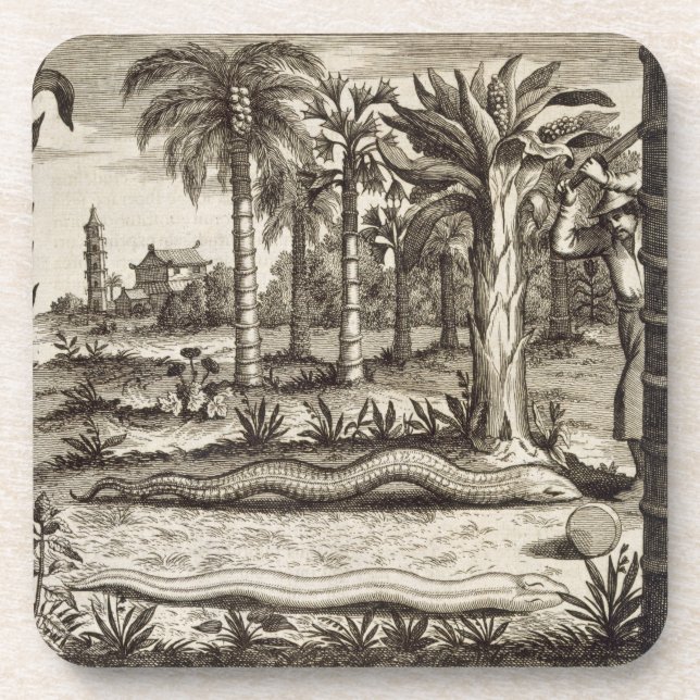 Posavasos La serpiente de piedra, de "China ilustró" por (Frente)