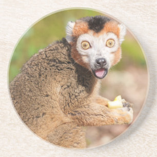 Posavasos La sorpresa de Lemur: una expresión sincera