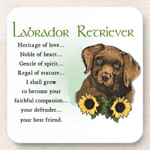 Posavasos Labrador recupera regalos de patrimonio de cachorr