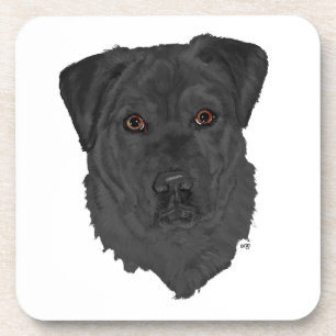 Posavasos Labrador Retriever Negro