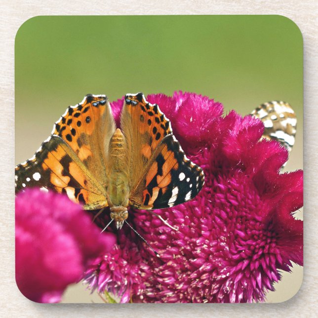 Posavasos Lady Butterfly pintada (Frente)
