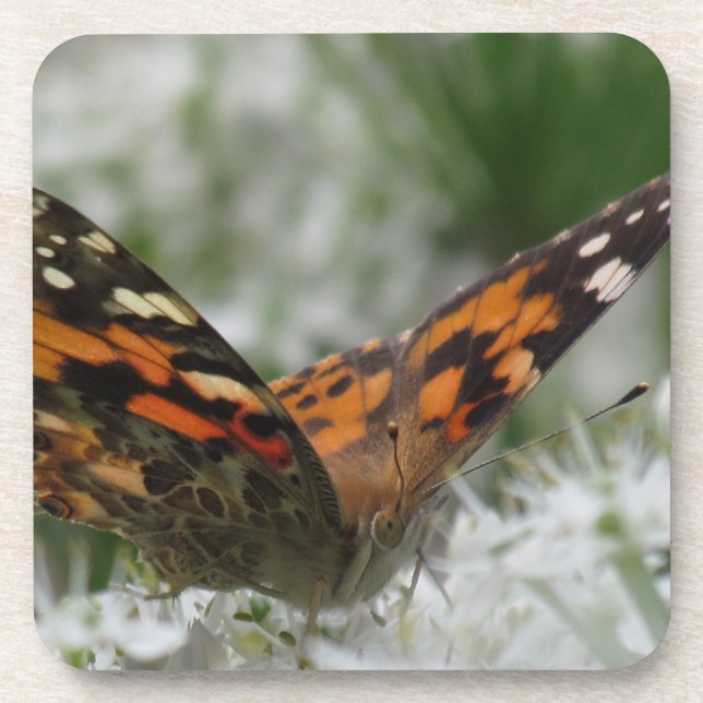 Posavasos Lady Butterfly pintada (Frente)