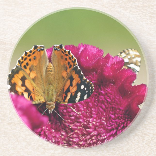 Posavasos Lady Butterfly pintada (Frente)