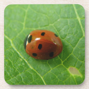 Posavasos Ladybug Cork Coaster