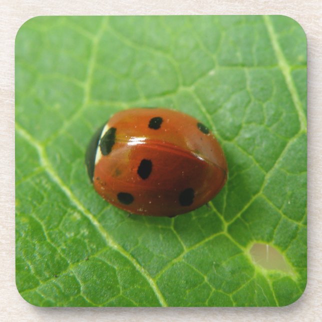 Posavasos Ladybug Cork Coaster (Frente)