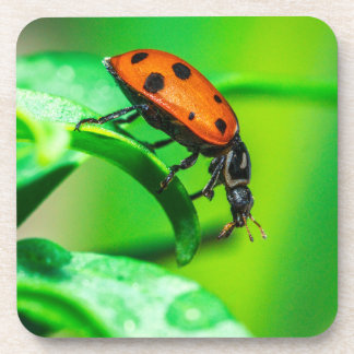 Posavasos Ladybug Macro Coaster | Nature Drinkware Accent