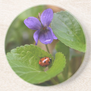 Posavasos Ladybug sobre las dulces flores violetas
