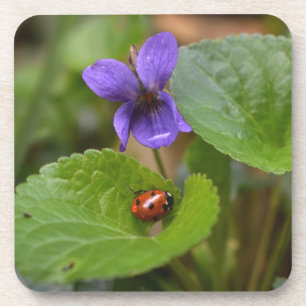 Posavasos Ladybug sobre las dulces flores violetas