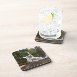 Posavasos Lago Swan