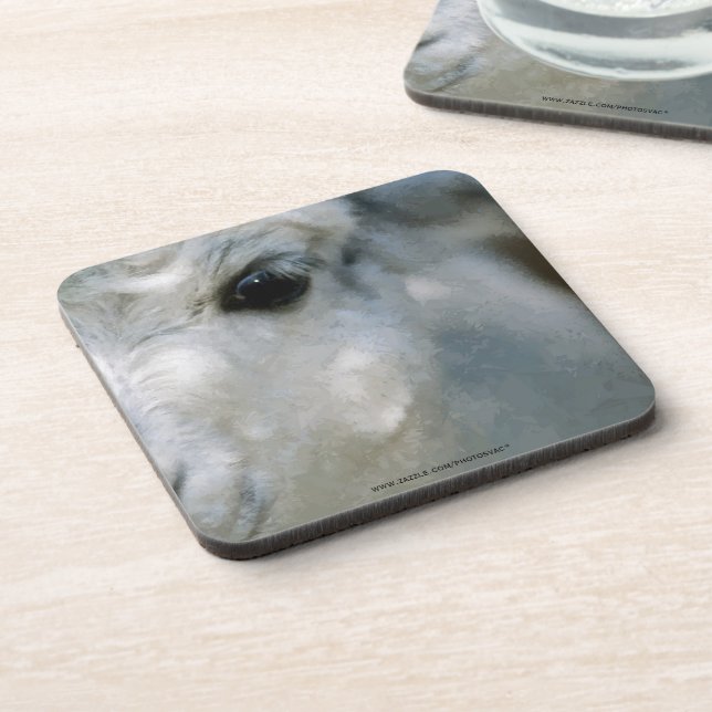 Posavasos Lama (Lado Izquierdo)