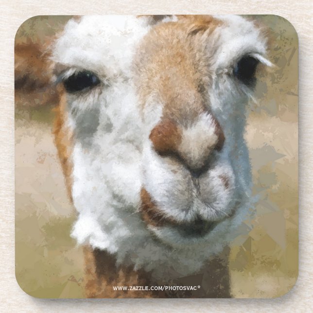 Posavasos Lama Feliz, Efecto de Pintura (Frente)
