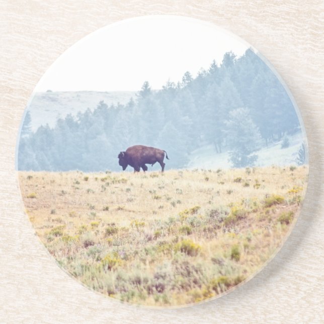 Posavasos Lamar (Frente)