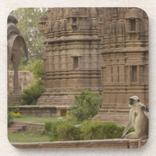 Posavasos Langurs de Hanuman o de cara negra, común o gris