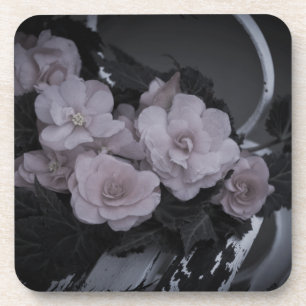 Posavasos Las Begonias Rosadas Descansan En El Banco