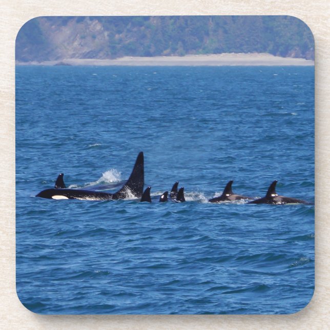 Posavasos Las familias se mantienen juntas (Frente)