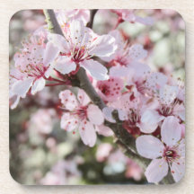 Las Flores De Color Rosa Son Testimonios Rojos.