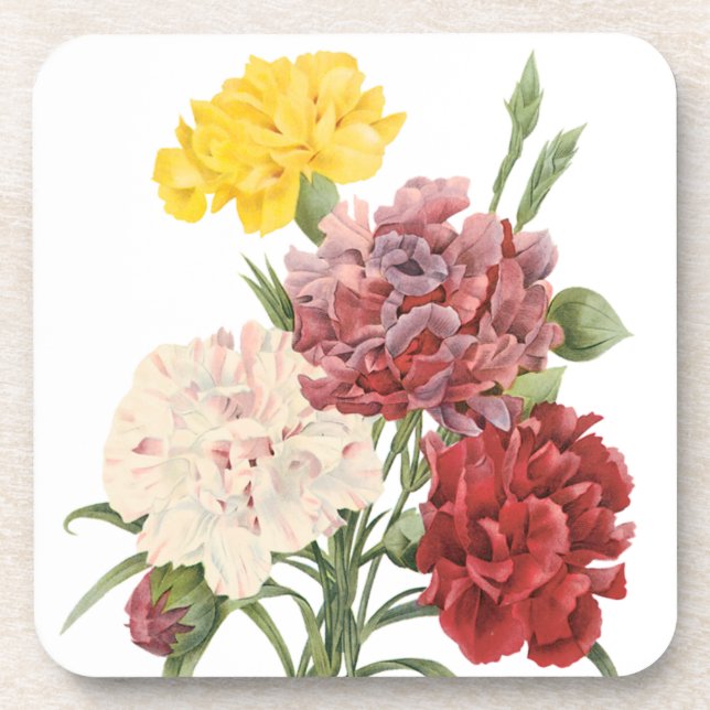 Posavasos Las flores de los jardines de Dianthus Redoute (Frente)