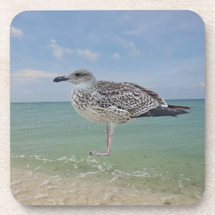 Posavasos Las gaviotas