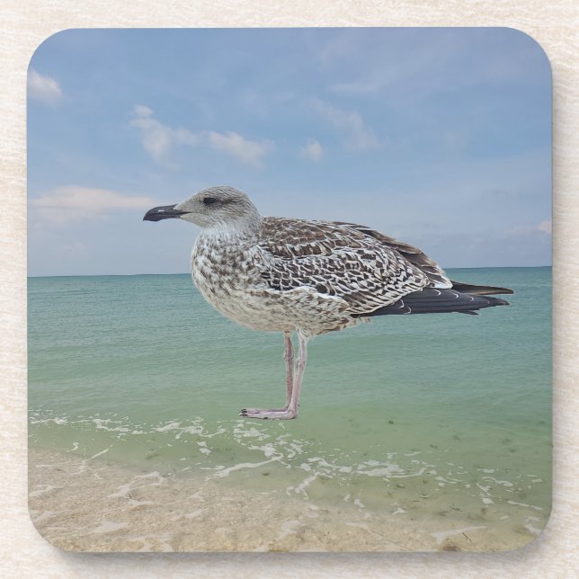Posavasos Las gaviotas (Frente)