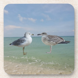 Posavasos Las gaviotas