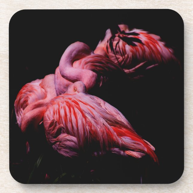 Posavasos Las llamas en la oscuridad (Frente)