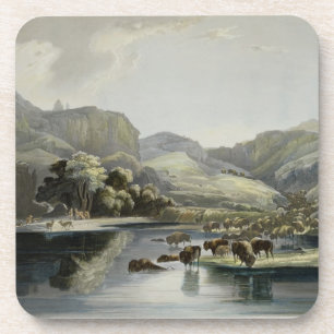 Posavasos Las manadas del bisonte y de alces en la parte