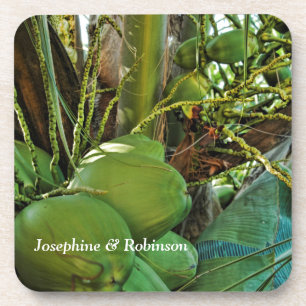Posavasos Las palmeras de la isla de los cocos tropicales se