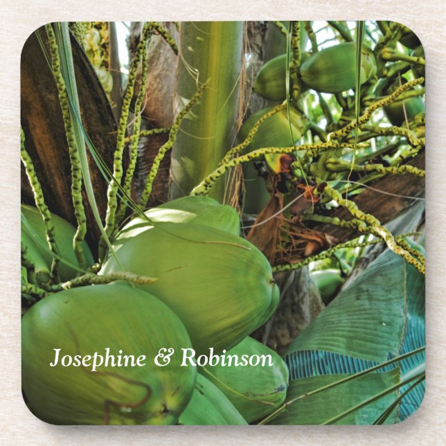 Posavasos Las palmeras de la isla de los cocos tropicales se (Frente)