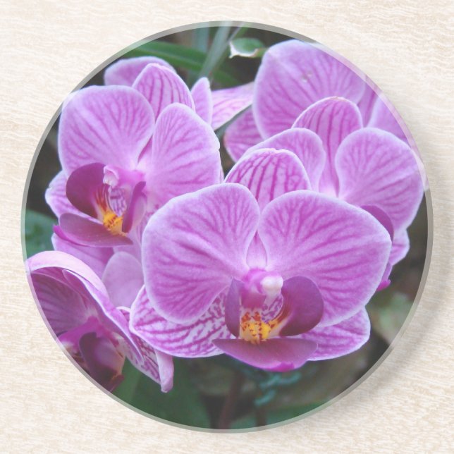 Posavasos Lavender Orchid (Frente)