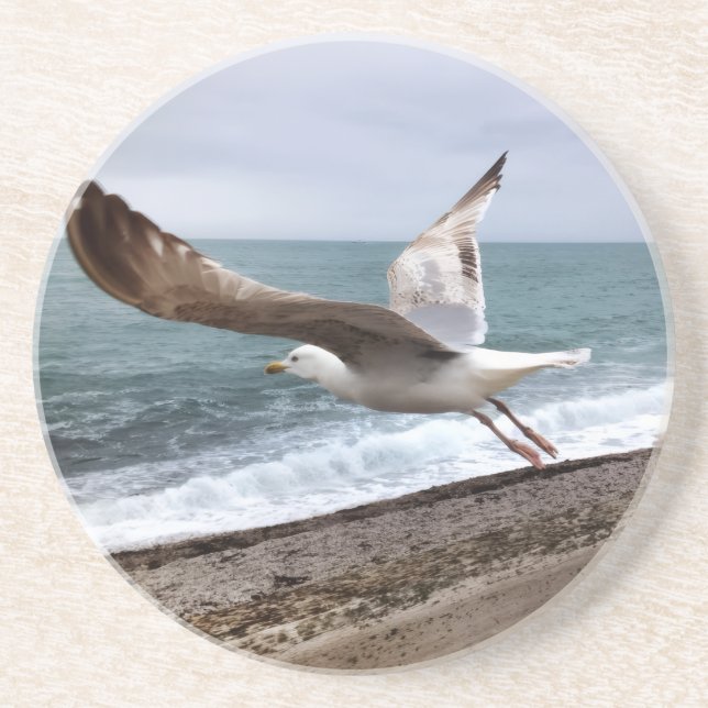 Posavasos Le goëland d'Etretat français (Frente)