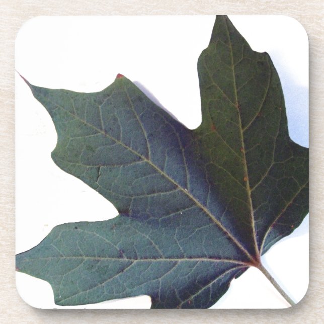 Posavasos Leaf verde (Frente)