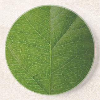 Posavasos Leaf verde